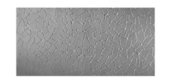 Crackle colourway 3